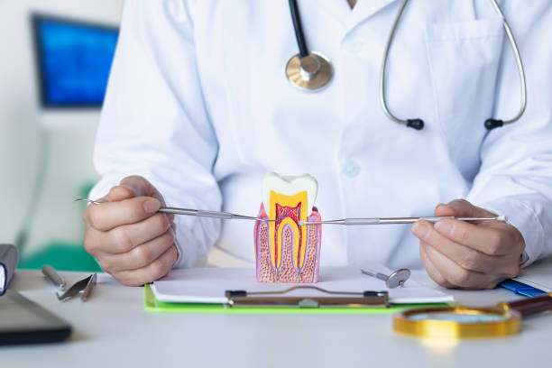 Best Broken or Cracked Tooth Emergency Dentist in Rollingwood, TX